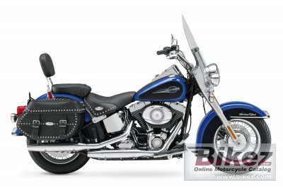 2008 Harley-Davidson FLSTC Softail photo